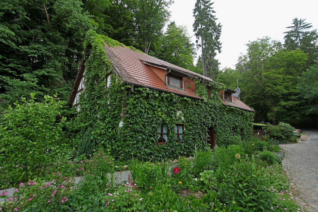 Hotel Boltenmühle Guhlen Glienicke Oda fotoğraf