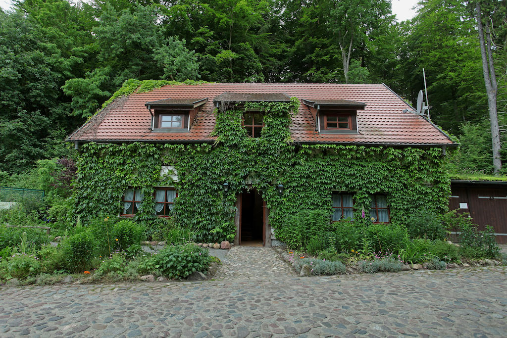 Hotel Boltenmühle Guhlen Glienicke Oda fotoğraf